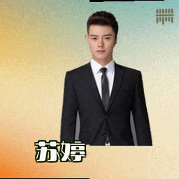 苏婷